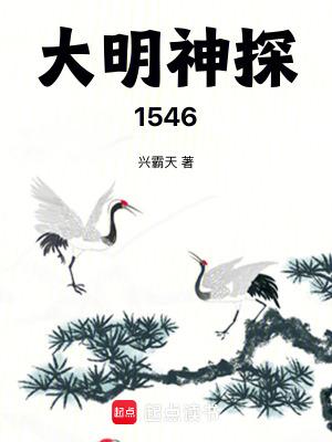 大明神探袁可立电影