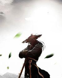 武魂殿圣枢首席